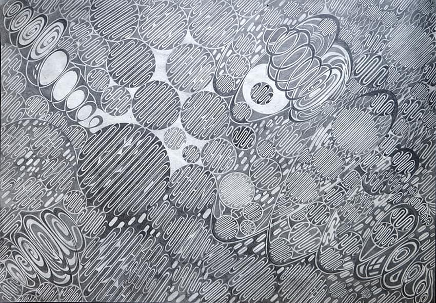 470188622_10161227678383772_6080467963714781859_n